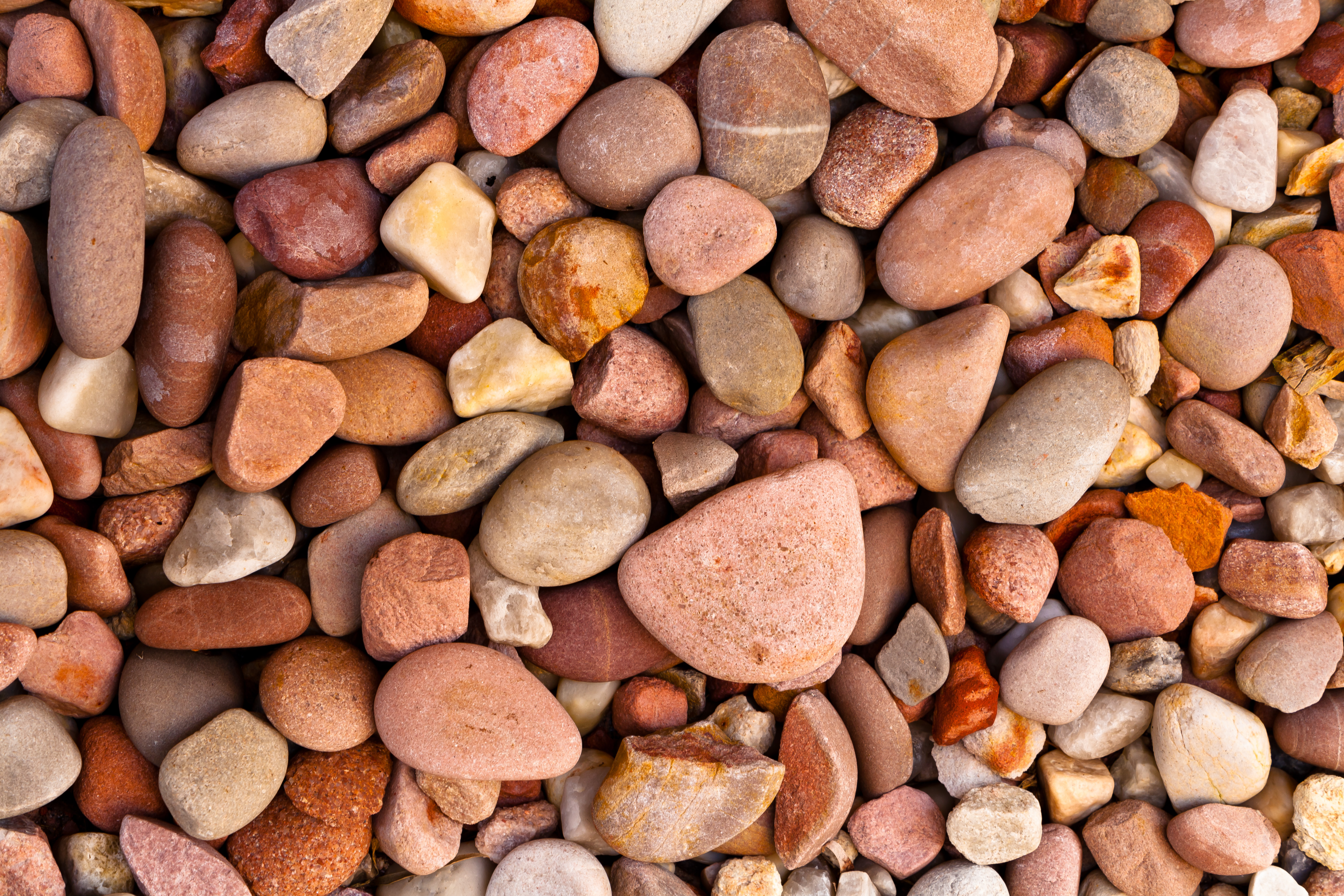 Rejected Pebbles size limited.jpg